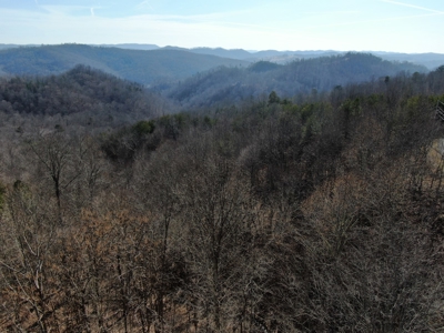 New Tazewell- Claiborne County TN-Lake Access Lot for Sale - image 14