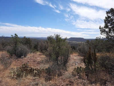 Gorgeous Views - image 1