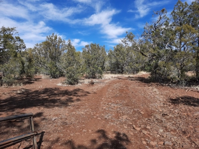 Beautiful Property - image 10