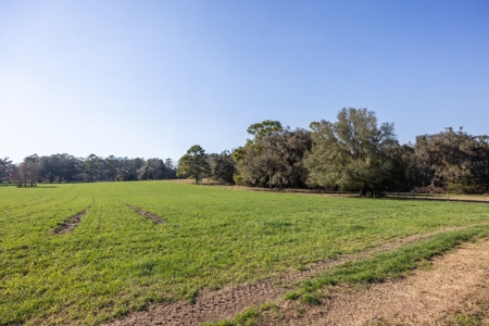 Cattle Ranch With Acreage High Springs, Alachua County, Fl - image 39