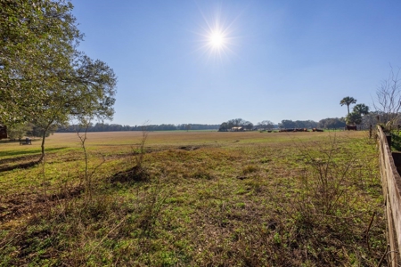 Cattle Ranch With Acreage High Springs, Alachua County, Fl - image 35