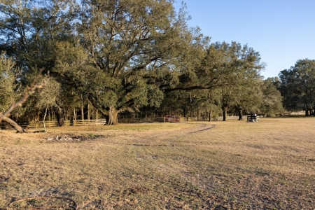 Cattle Ranch With Acreage High Springs, Alachua County, Fl - image 41