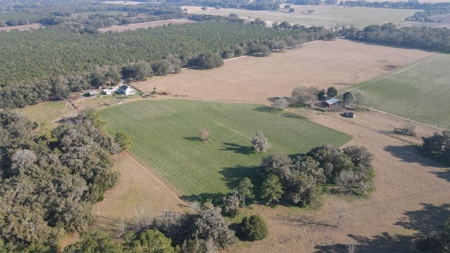 Cattle Ranch With Acreage High Springs, Alachua County, Fl - image 44