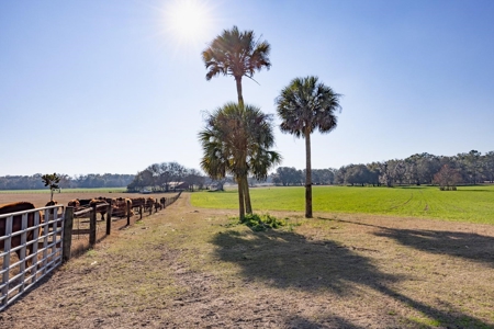Cattle Ranch With Acreage High Springs, Alachua County, Fl - image 9