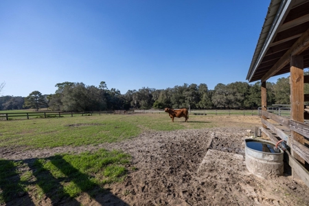 Cattle Ranch With Acreage High Springs, Alachua County, Fl - image 38