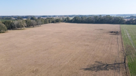 Cattle Ranch With Acreage High Springs, Alachua County, Fl - image 47