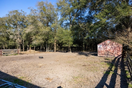 Cattle Ranch With Acreage High Springs, Alachua County, Fl - image 33