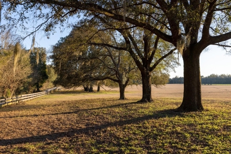 Cattle Ranch With Acreage High Springs, Alachua County, Fl - image 42