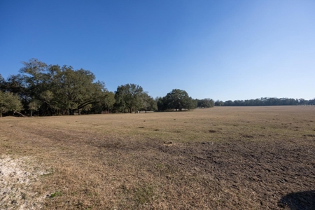 Cattle Ranch With Acreage High Springs, Alachua County, Fl - image 34