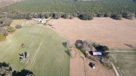 Cattle Ranch With Acreage High Springs, Alachua County, Fl - image 43