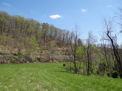 Kentucky Land & Home for Sale - image 46