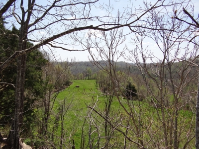 Kentucky Land & Home for Sale - image 49