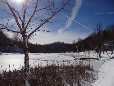 Kentucky Land & Home for Sale - image 20