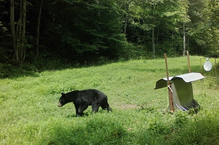 Kentucky Land & Home for Sale - image 33