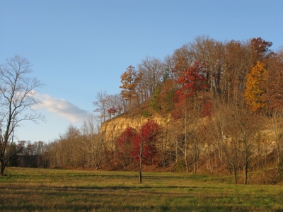 Kentucky Land & Home for Sale - image 32