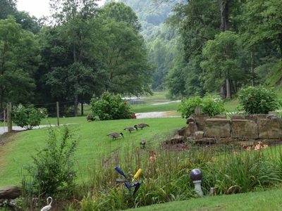 Kentucky Land & Home for Sale - image 23