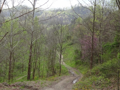 Kentucky Land & Home for Sale - image 31