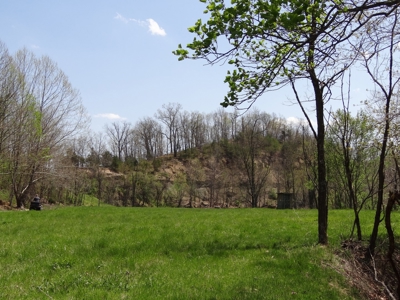 Kentucky Land & Home for Sale - image 47