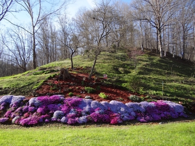 Kentucky Land & Home for Sale - image 16
