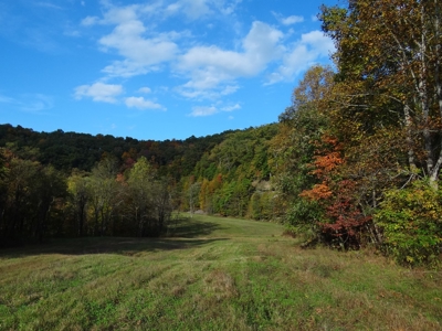 Kentucky Land & Home for Sale - image 28