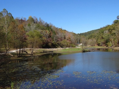 Kentucky Land & Home for Sale - image 36