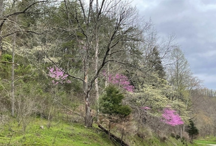 Kentucky Land & Home for Sale - image 21