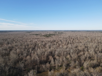 Timberland Property on Saline River Grant County Arkansas - image 9