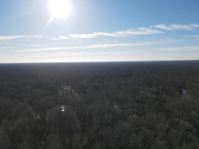 Timberland Property on Saline River Grant County Arkansas - image 10