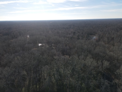 Timberland Property on Saline River Grant County Arkansas - image 14