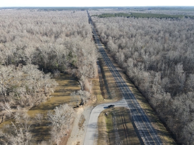 Timberland Property on Saline River Grant County Arkansas - image 5