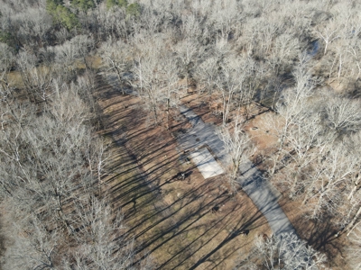 Timberland Property on Saline River Grant County Arkansas - image 7