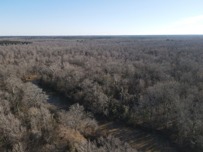 Timberland Property on Saline River Grant County Arkansas - image 1