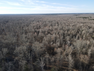 Timberland Property on Saline River Grant County Arkansas - image 13