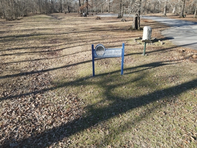 Timberland Property on Saline River Grant County Arkansas - image 2