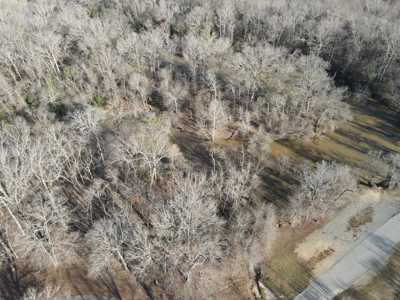 Timberland Property on Saline River Grant County Arkansas - image 6