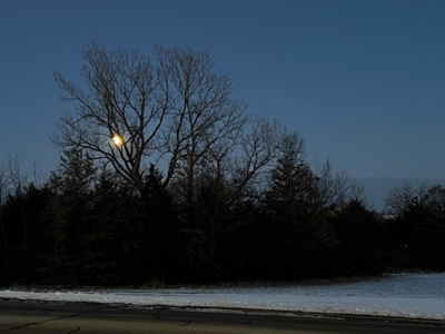 40 Acres Big Deer Country - image 4