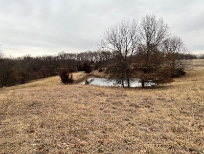 40 Acres Big Deer Country - image 6