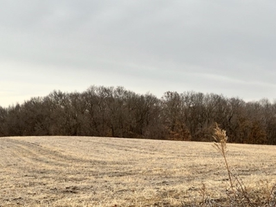 40 Acres Big Deer Country - image 9