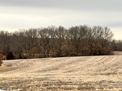 40 Acres Big Deer Country - image 10