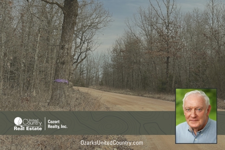 Land For Sale - image 6