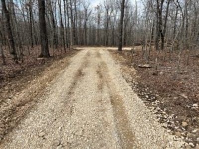 Land For Sale - image 5