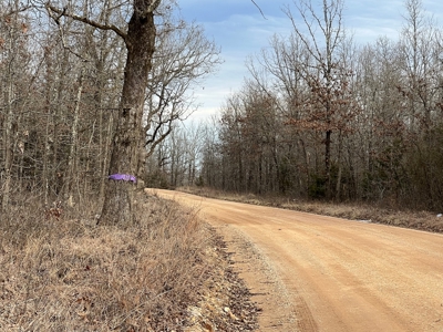 Land For Sale - image 1