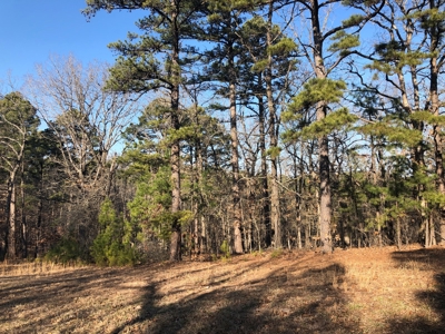 Wooded Building Lot For Sale / Ne Oklahoma Resort Property - image 1
