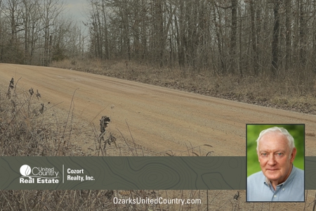 Land For Sale - image 6