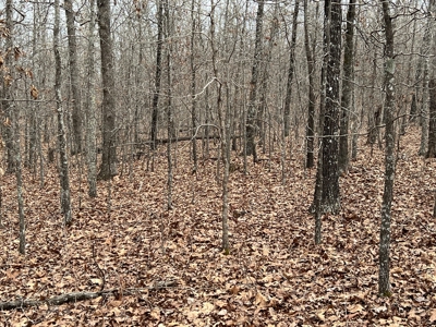 Land For Sale - image 3