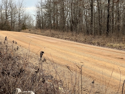 Land For Sale - image 1