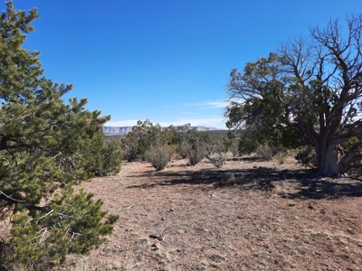 Beautiful Property - image 1
