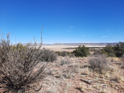 Gorgeous Views - image 6
