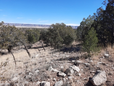 Gorgeous Views - image 10