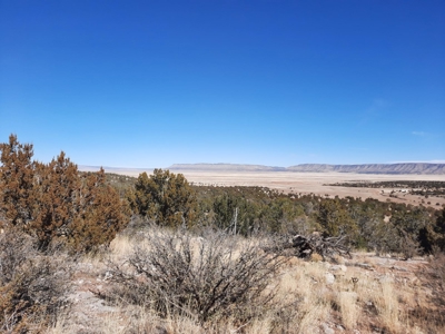 Gorgeous Views - image 1